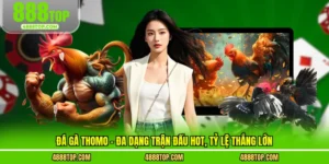 Đá gà thomo